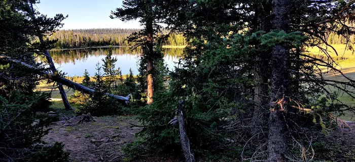 Pole Creek Lake Campground Picture 5