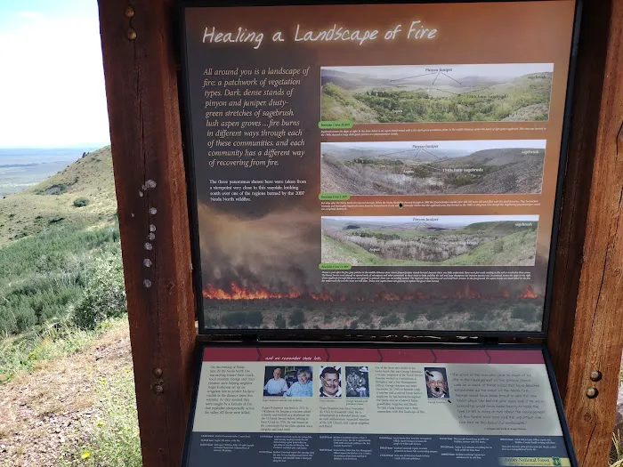 Pole Creek Lake Campground Picture 3