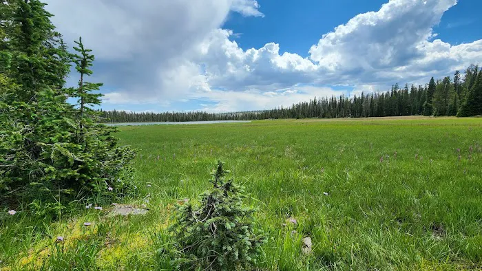 Pole Creek Lake Campground Picture 4