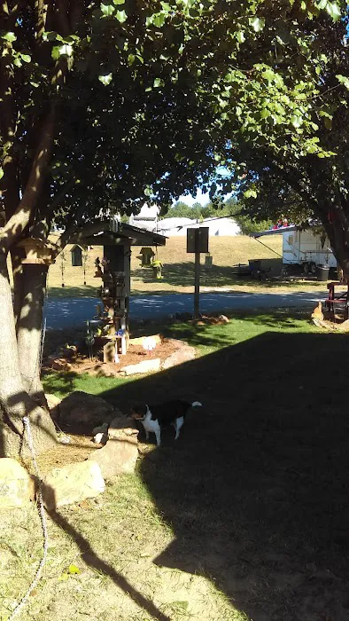 Overnight RV Park Picture 7