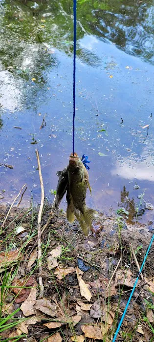 Brantley Mobile Home Park Picture 3