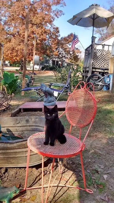 Brantley Mobile Home Park Picture 2