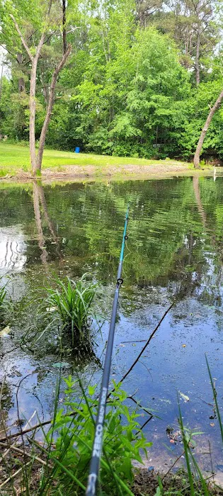 Brantley Mobile Home Park Picture 1