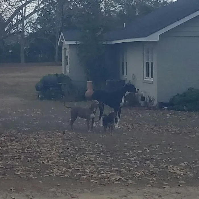 The Junction Mobile Home Park Picture 2