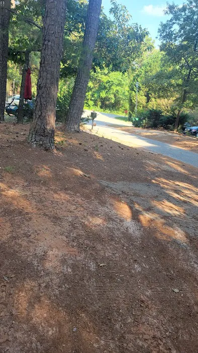 Cooper & Sugrue Properties Inc Picture 2