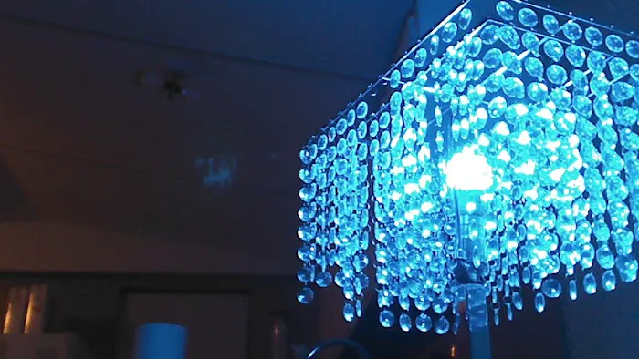 Pinewood Village Mobile Home Picture 2