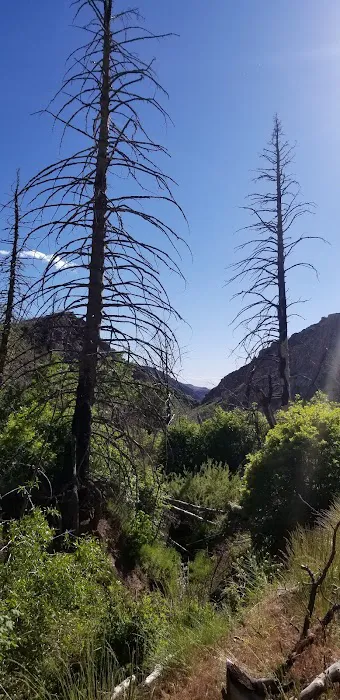 Little Creek Campground Picture 2