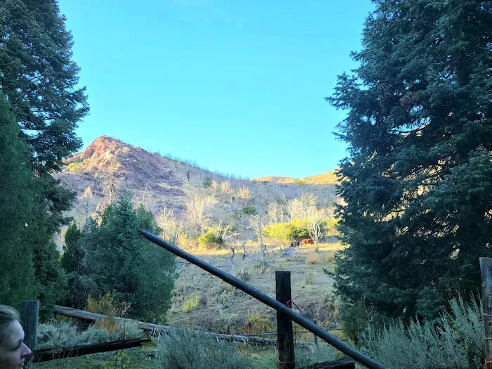 Little Creek Campground Picture 1