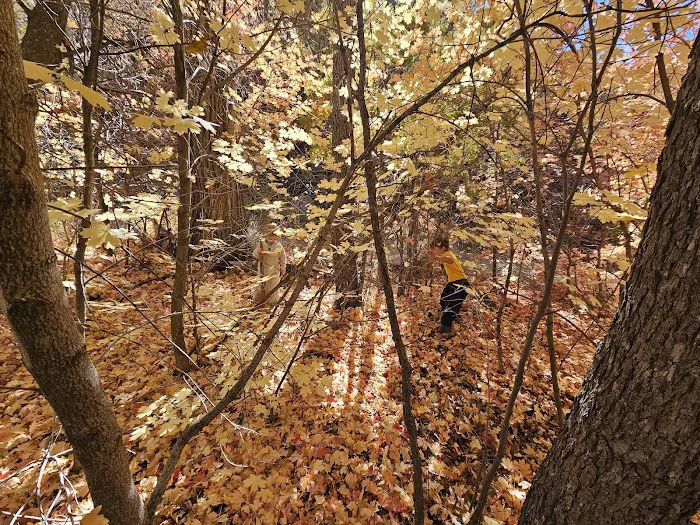 Oak Creek Campground Picture 9