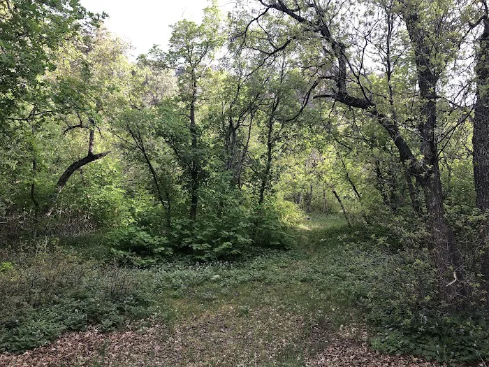 Oak Creek Campground Picture 7