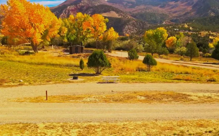 Chipper Loop Campground Picture 5