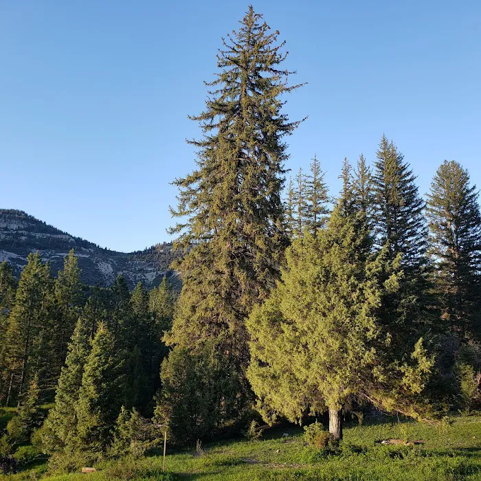 Manti Community Campground Picture 6