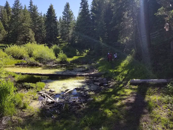 Manti Community Campground Picture 3