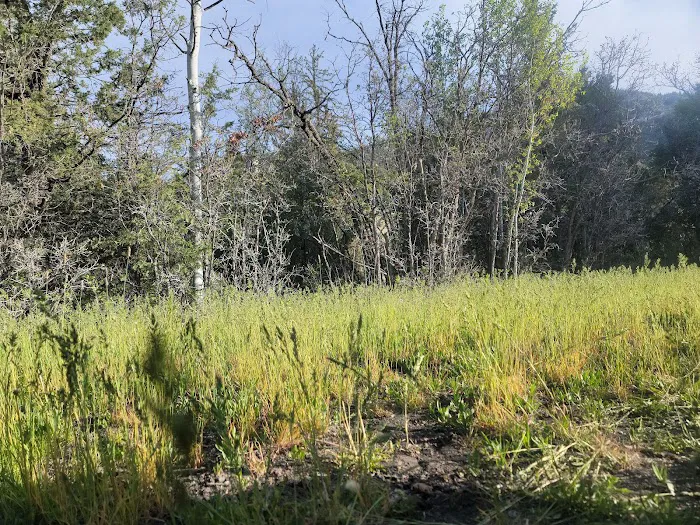 Manti Community Campground Picture 9