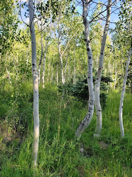 Lake Hill Campground Picture 7