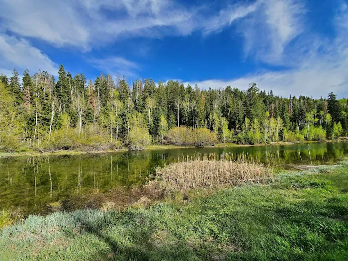 Lake Hill Campground Picture 5