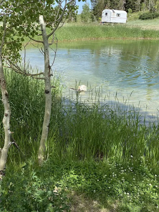 Upper Six Mile Ponds Campground Picture 1