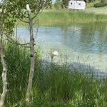 Upper Six Mile Ponds Campground