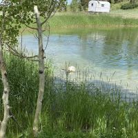 Upper Six Mile Ponds Campground ico