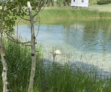 Upper Six Mile Ponds Campground