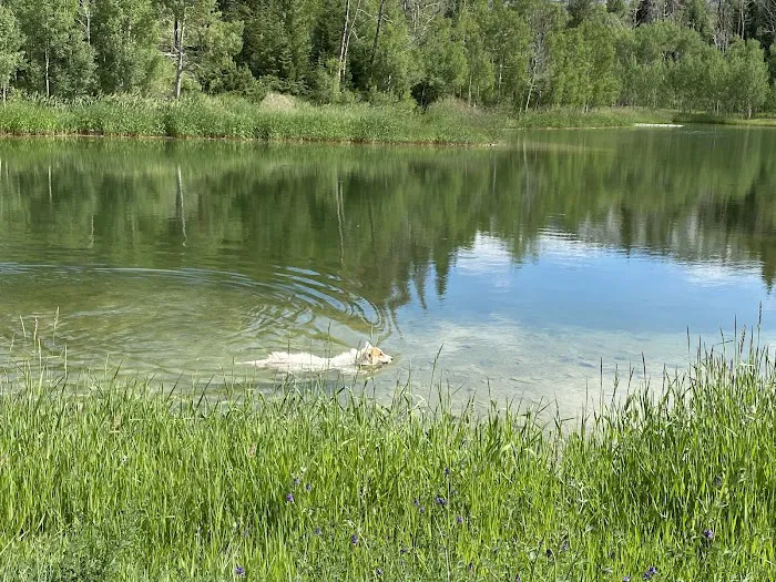 Upper Six Mile Ponds Campground Picture 3