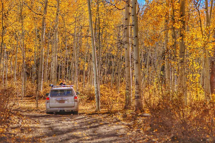 Upper Six Mile Ponds Campground Picture 10