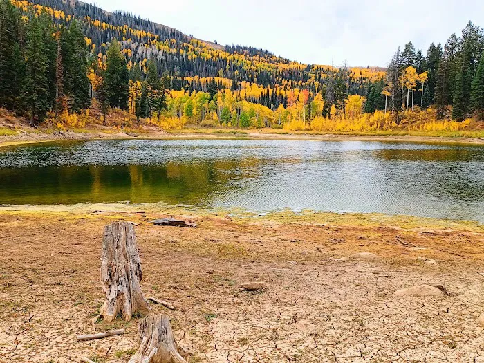 New Canyon Reservoir Picture 5