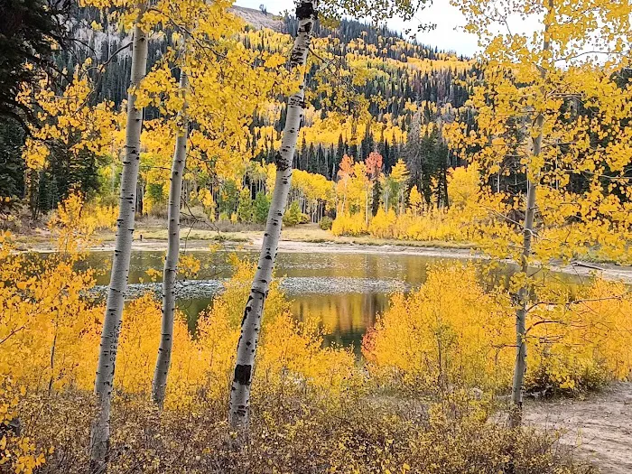 New Canyon Reservoir Picture 7