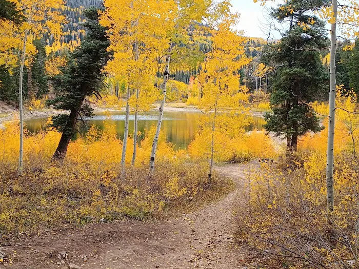 New Canyon Reservoir Picture 6