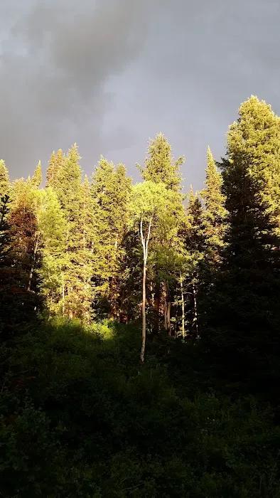 New Canyon Reservoir Picture 1