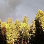 New Canyon Reservoir