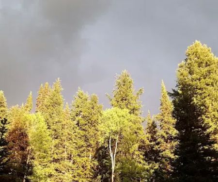 New Canyon Reservoir