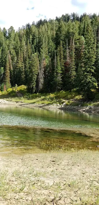 New Canyon Reservoir Picture 3