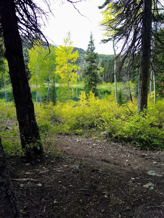 New Canyon Reservoir Picture 10