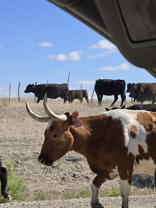 FERRON RESERVOIR Picture 8