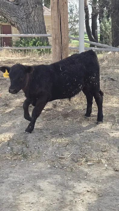 FERRON RESERVOIR Picture 1