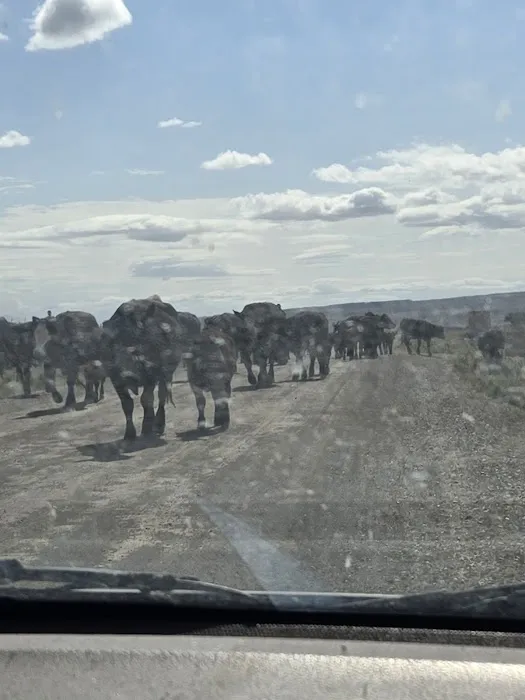 FERRON RESERVOIR Picture 4