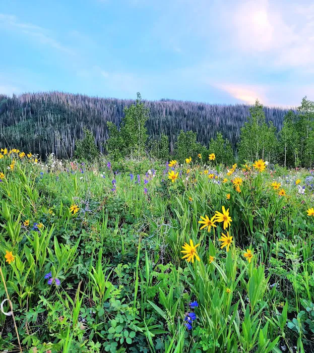 FERRON RESERVOIR Picture 10