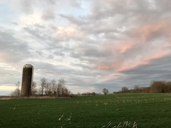 Sugar Maple RV Park Picture 3