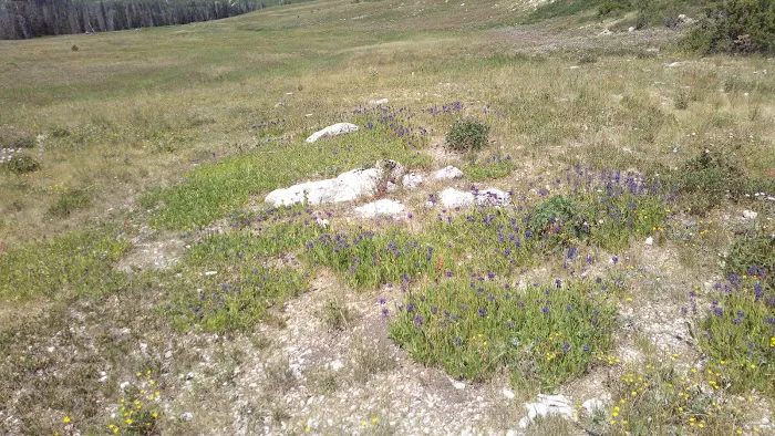 Ferron Reservoir Campground Picture 7