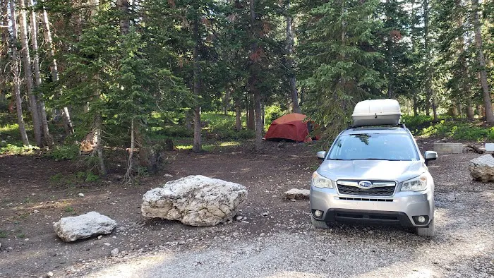 Twelve Mile Flat Campground Picture 9