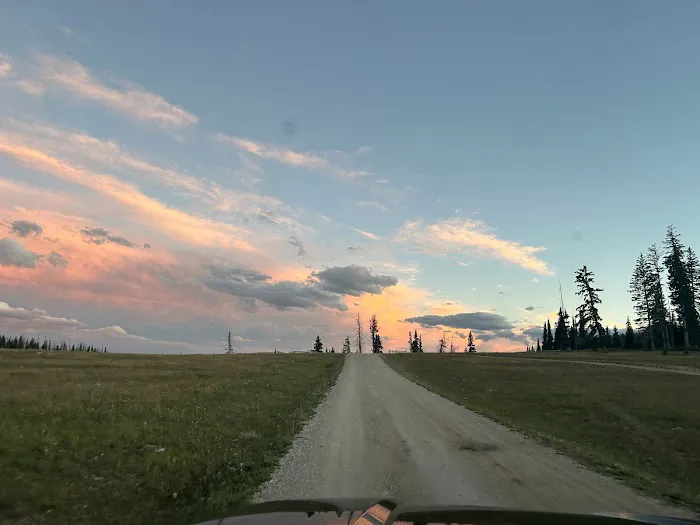 Twelve Mile Flat Campground Picture 4