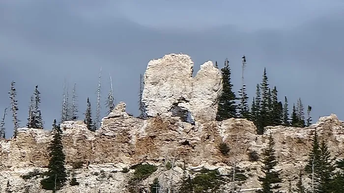 Twelve Mile Flat Campground Picture 8