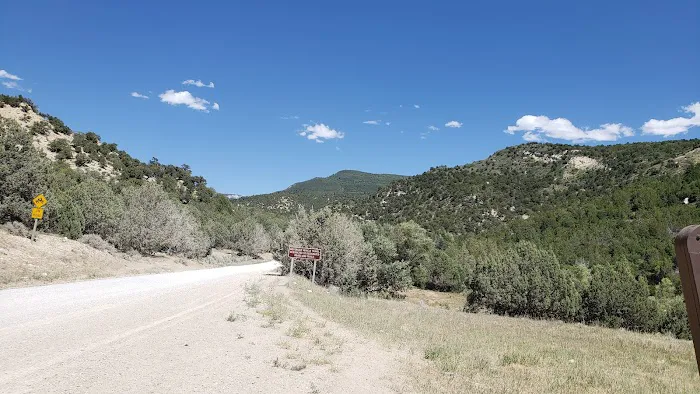 Twelve Mile Flat Campground Picture 2