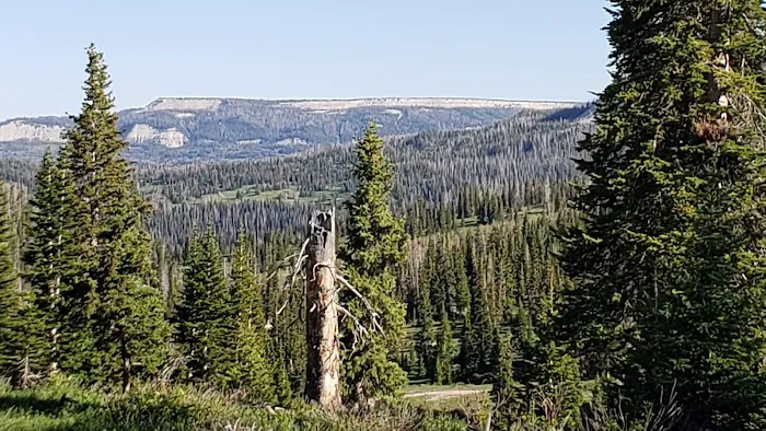 Twelve Mile Flat Campground Picture 10