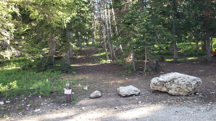 Twelve Mile Flat Campground Picture 3