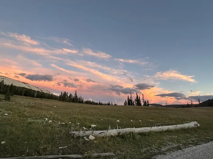 Twelve Mile Flat Campground Picture 7