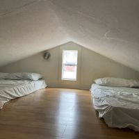 Jellystone Park™ Mammoth Cave ico