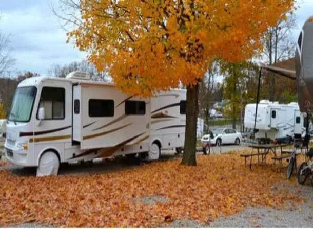 Jellystone Park™ Mammoth Cave Picture 9