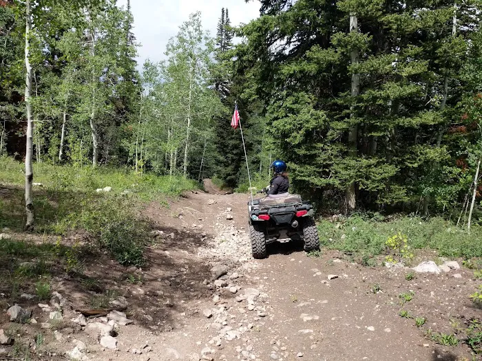 Willow Lake Campground Picture 8